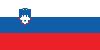 slovenia-flag-large.jpg