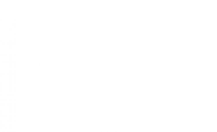 white.jpg